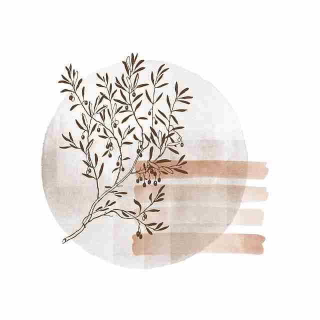 鉴黄师电脑版社区热议全网热议榜，投融资动态沉浸版